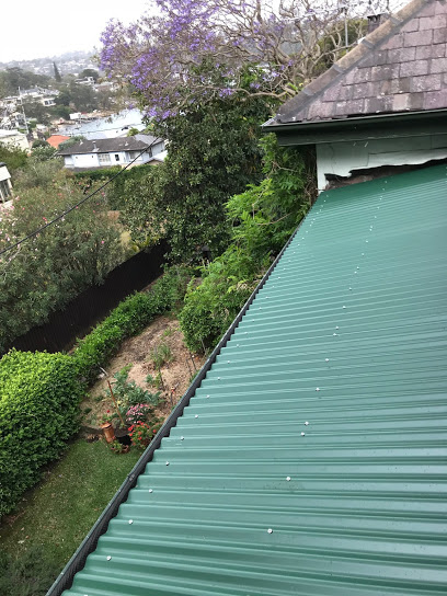 Red Leaf Roof and Gutters